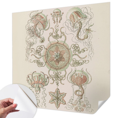 Carta da parati effetto profondità Mondo sottomarino