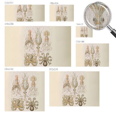 Carta da parati cameretta Vita marina