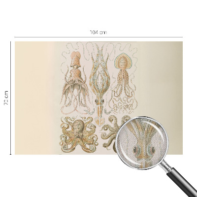 Carta da parati cameretta Vita marina