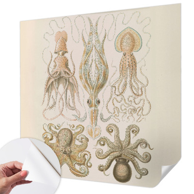 Carta da parati cameretta Vita marina