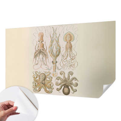 Carta da parati cameretta Vita marina