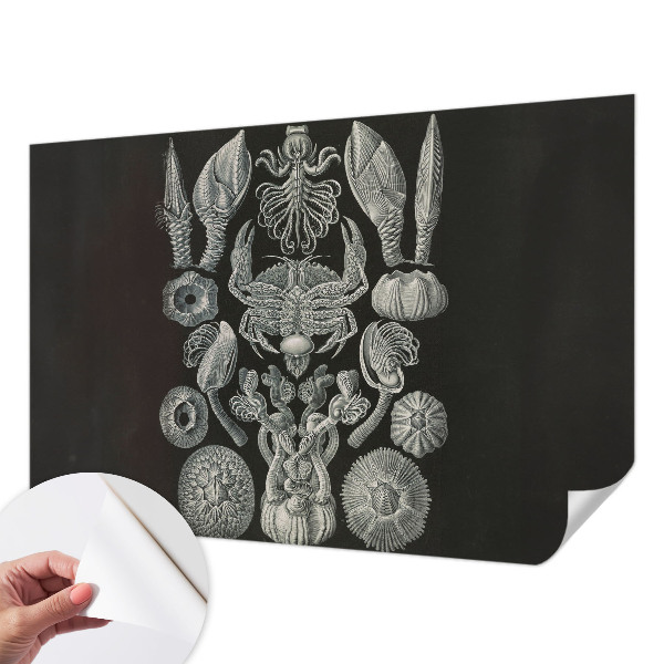 Carta da parati per cameretta Forme sottomarine