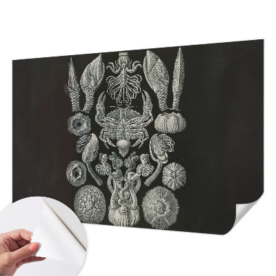 Carta da parati per cameretta Forme sottomarine