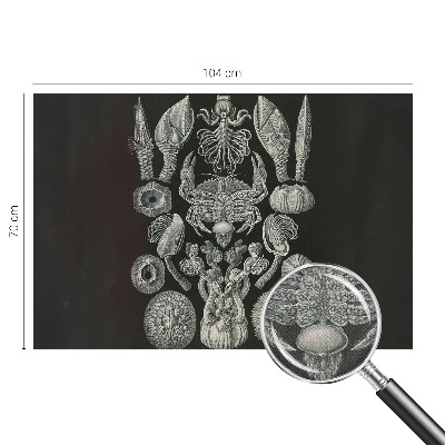 Carta da parati per cameretta Forme sottomarine