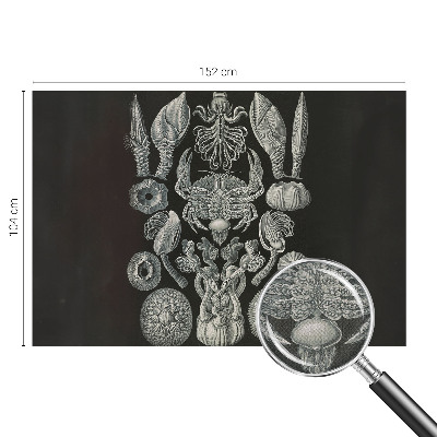 Carta da parati per cameretta Forme sottomarine