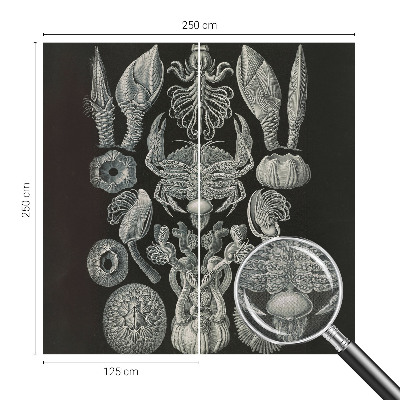 Carta da parati per cameretta Forme sottomarine