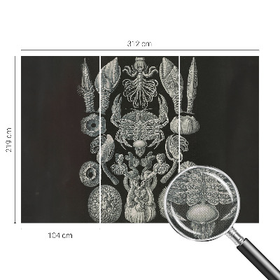 Carta da parati per cameretta Forme sottomarine