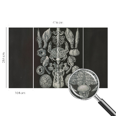 Carta da parati per cameretta Forme sottomarine