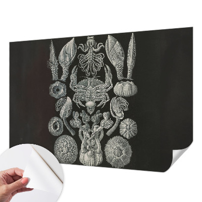 Carta da parati per cameretta Forme sottomarine