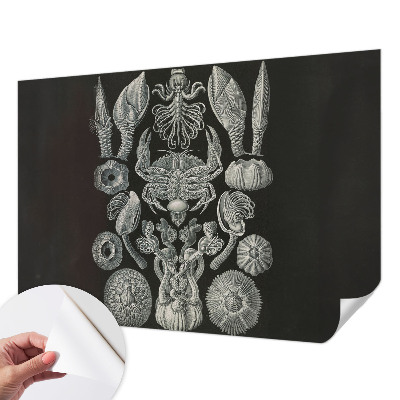 Carta da parati per cameretta Forme sottomarine