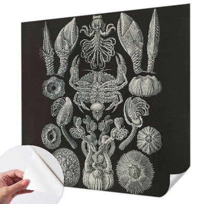 Carta da parati per cameretta Forme sottomarine