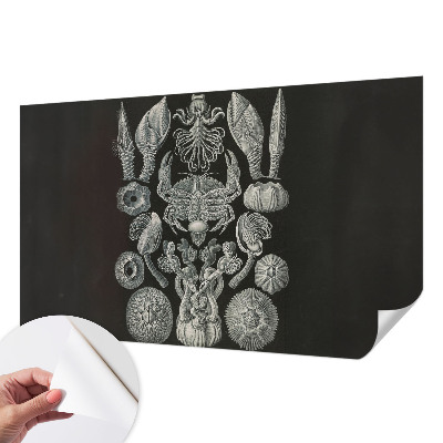 Carta da parati per cameretta Forme sottomarine