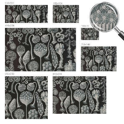 Fotomurale per cameretta Piante magiche