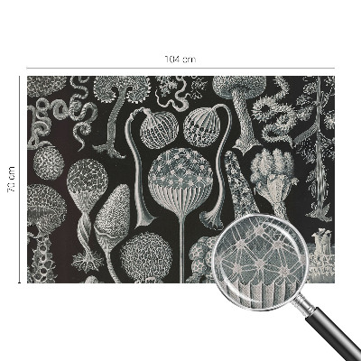 Fotomurale per cameretta Piante magiche