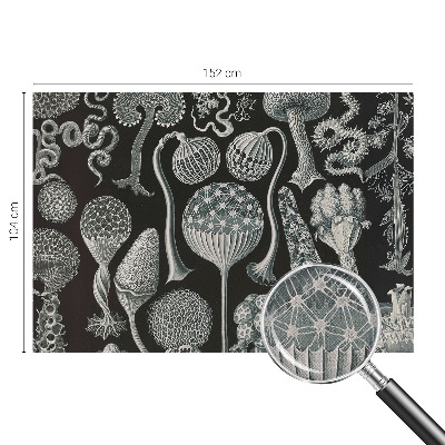 Fotomurale per cameretta Piante magiche