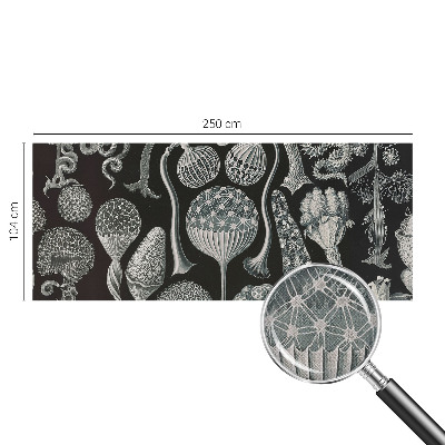 Fotomurale per cameretta Piante magiche