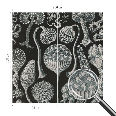 Fotomurale per cameretta Piante magiche