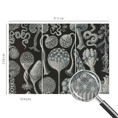 Fotomurale per cameretta Piante magiche