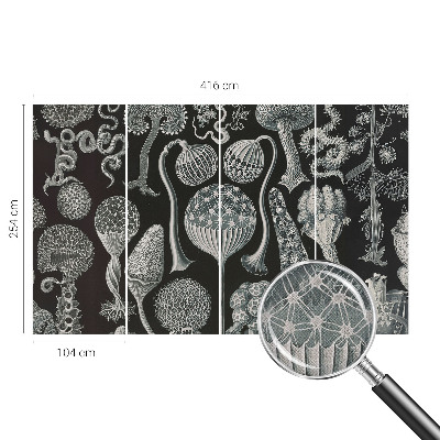 Fotomurale per cameretta Piante magiche