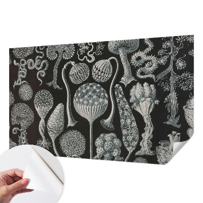 Fotomurale per cameretta Piante magiche