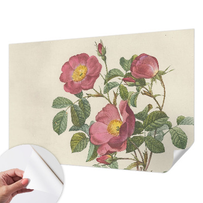 Fotomurale per bambini Motivo a rosa