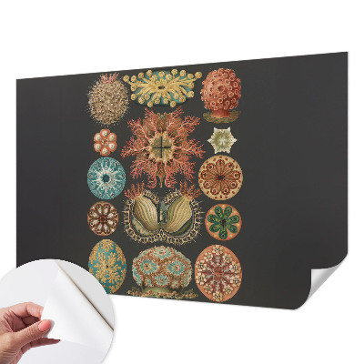 Carta da parati cameretta Seaspirations