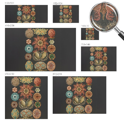 Carta da parati cameretta Seaspirations