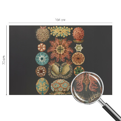 Carta da parati cameretta Seaspirations