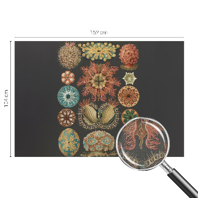 Carta da parati cameretta Seaspirations