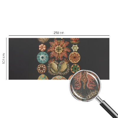 Carta da parati cameretta Seaspirations