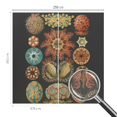 Carta da parati cameretta Seaspirations