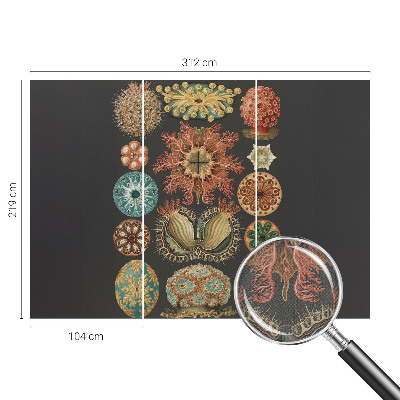 Carta da parati cameretta Seaspirations