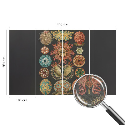 Carta da parati cameretta Seaspirations