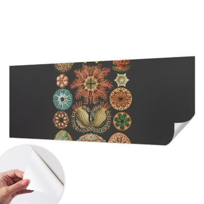 Carta da parati cameretta Seaspirations