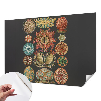 Carta da parati cameretta Seaspirations