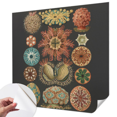 Carta da parati cameretta Seaspirations