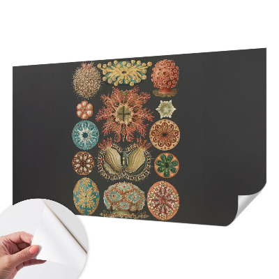 Carta da parati cameretta Seaspirations