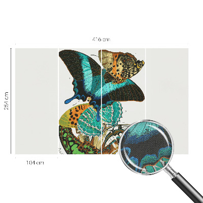 Carta da parati 3D Farfalle colorate