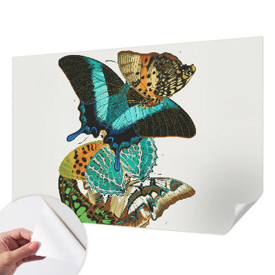 Carta da parati 3D Farfalle colorate
