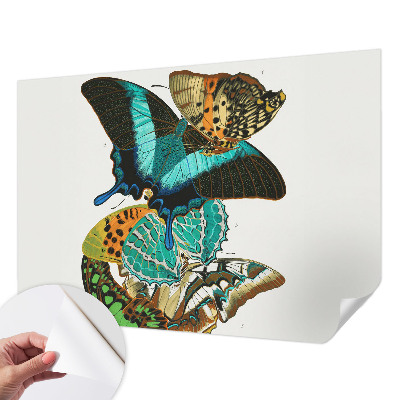 Carta da parati 3D Farfalle colorate