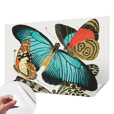 Fotomurale 3D Farfalle colorate
