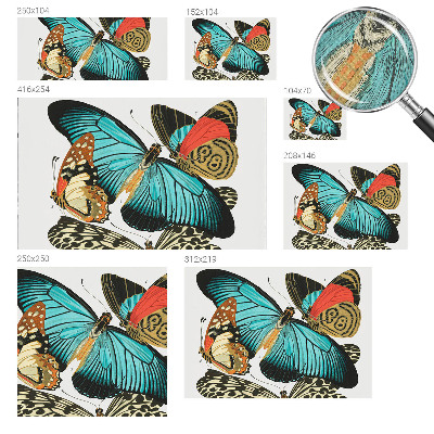 Fotomurale 3D Farfalle colorate