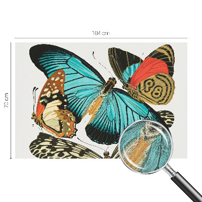 Fotomurale 3D Farfalle colorate