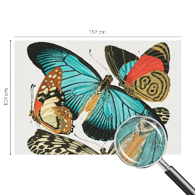 Fotomurale 3D Farfalle colorate