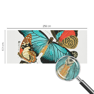 Fotomurale 3D Farfalle colorate
