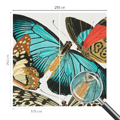 Fotomurale 3D Farfalle colorate