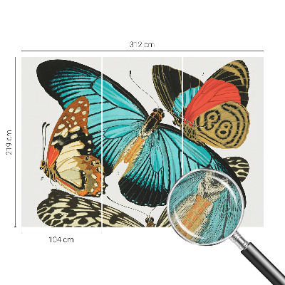 Fotomurale 3D Farfalle colorate