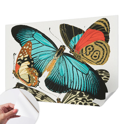 Fotomurale 3D Farfalle colorate