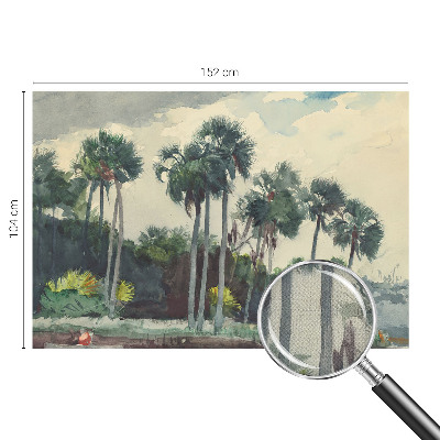 Carta da parati effetto profondità palme esotiche