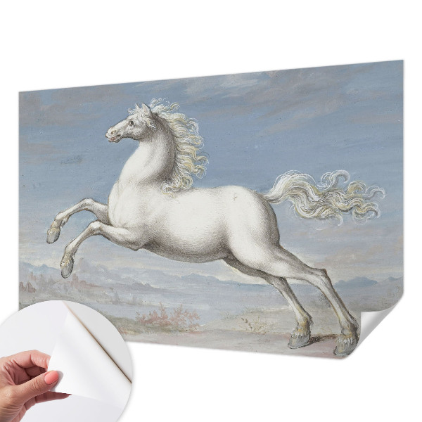 Carta da parati per cameretta Cavalli nel salto